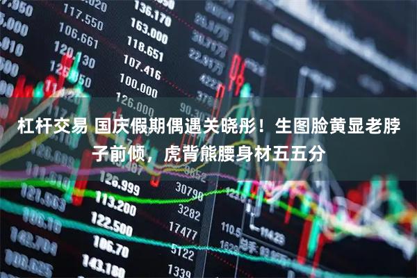杠杆交易 国庆假期偶遇关晓彤！生图脸黄显老脖子前倾，虎背熊腰身材五五分